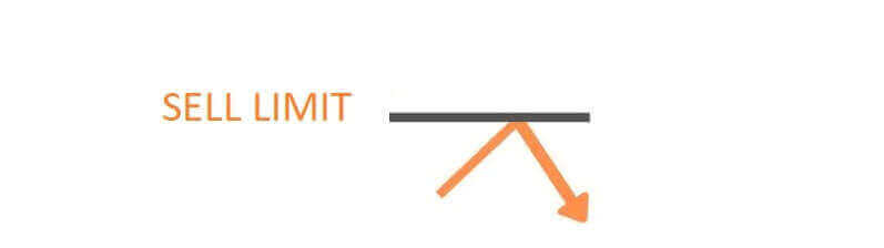 2021-жылы LiteFinance соодасын кантип баштоо керек: үйрөнчүктөр үчүн кадам-кадам колдонмо