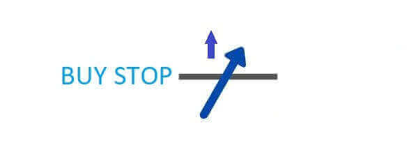 LiteFinance Masuk dan Mulai Trading Forex